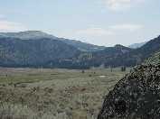 Slough Creek... looking north toward Slough Creek campground.