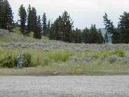 The north pump area of Slough Creek campground before the onset of construction.