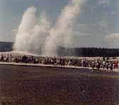 Old Faithful -1