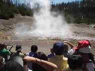 Norris Geyser #2