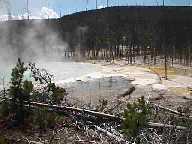 Norris Geyser #1