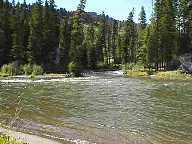 Slough Creek - Buffalo Creek confluence - Slough Creek Campground