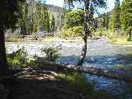 View from Site #8 - Slough Creek Campground