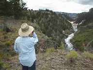 Yellowstone River and Canyon near Tower Fall -1