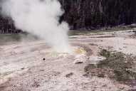 Hot Spot - Norris Geyser Basin